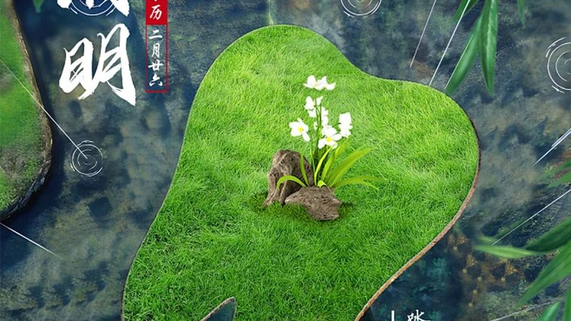 儿童牙科诊所：呵护孩子口腔健康的秘密花园